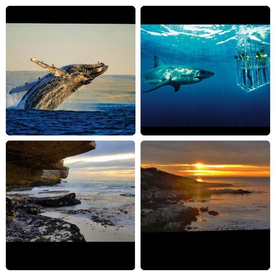 Shark Cove Little Cottage Kleinbaai Exteriör bild